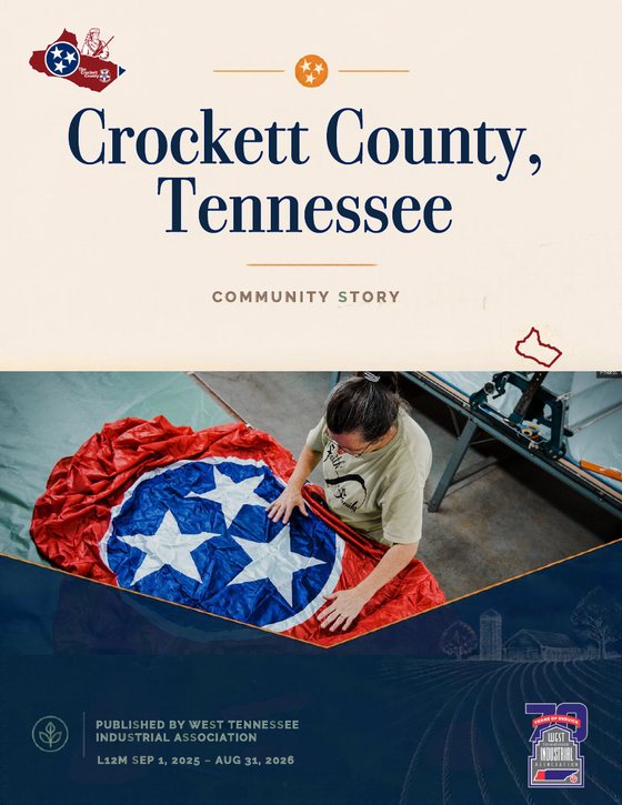 Cover of the Crockett County report